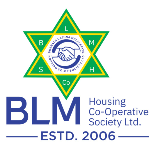 BLM Logo